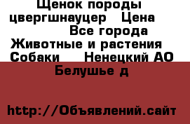 Щенок породы  цвергшнауцер › Цена ­ 30 000 - Все города Животные и растения » Собаки   . Ненецкий АО,Белушье д.